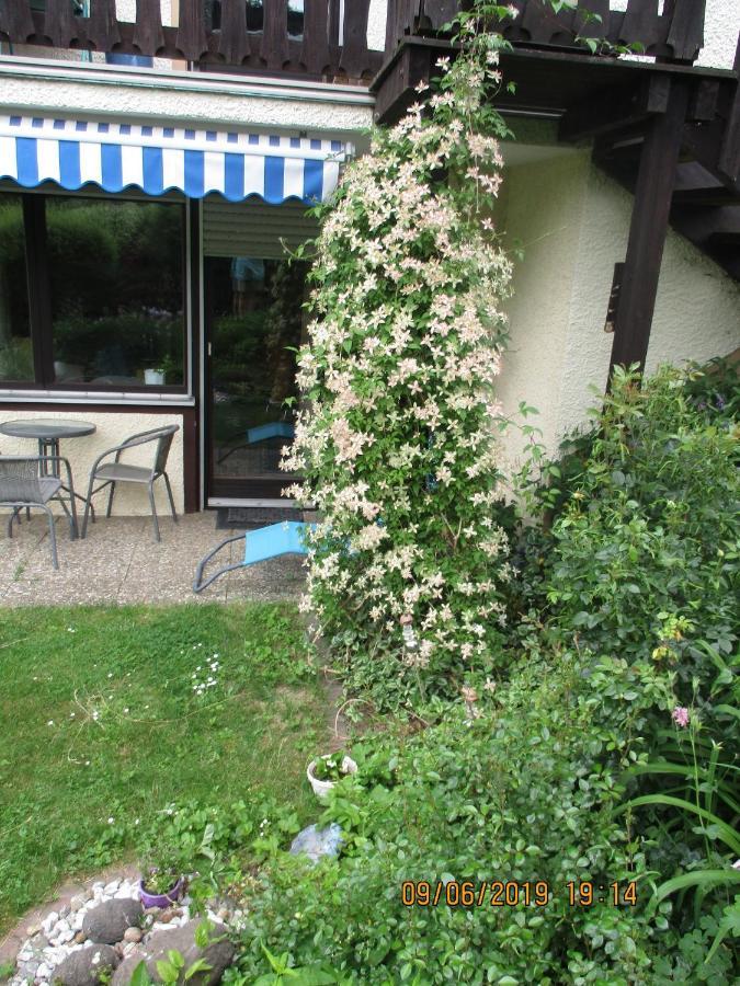 Apartment Troglauer *